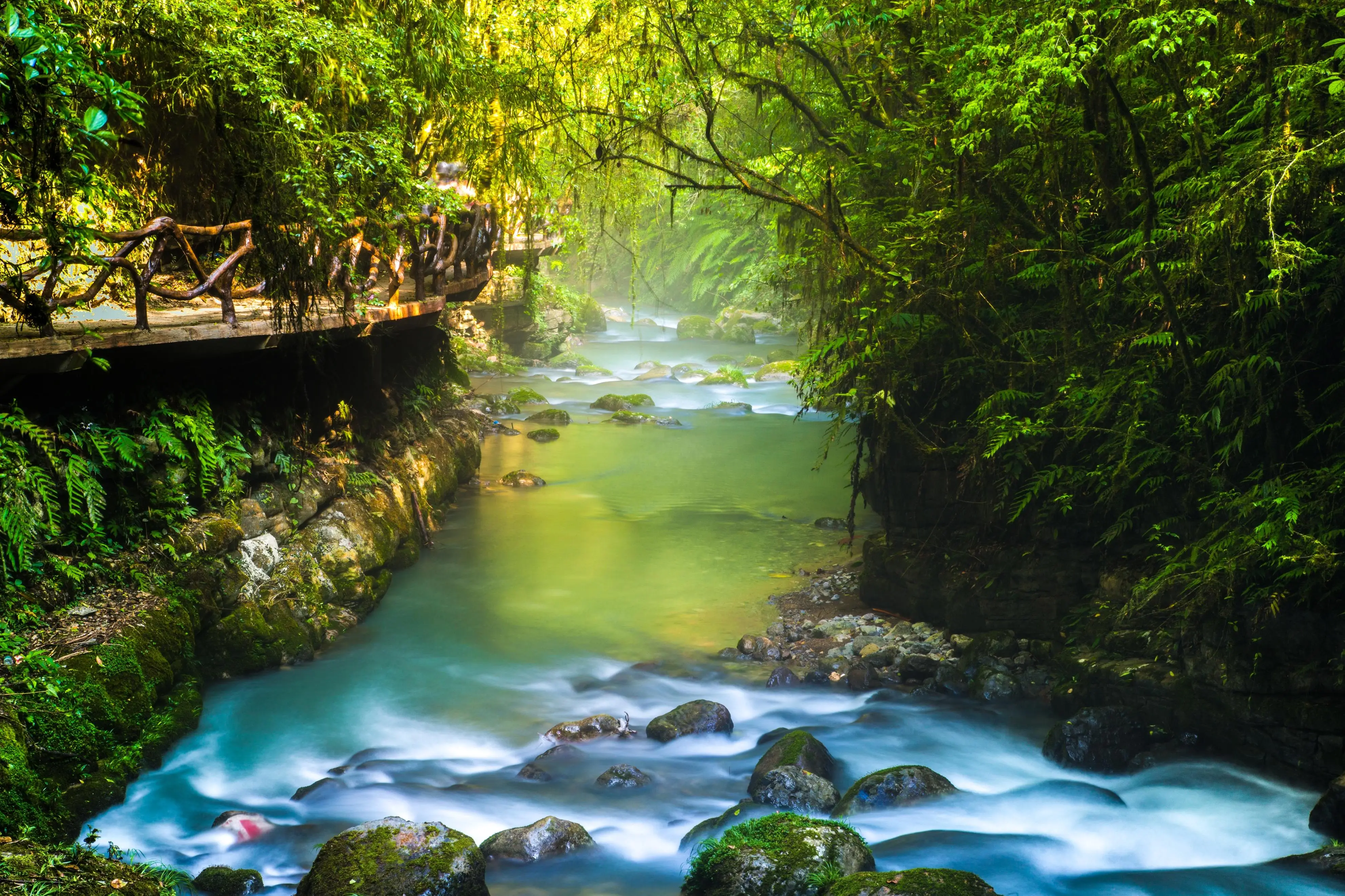 World Travel Visa Tips: For China & Every Country in 2024